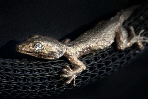 Naturgetreuer Gecko auf Strickkette
