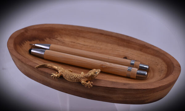 Gecko auf ovaler - Holzschale UNIKAT – Bild 2