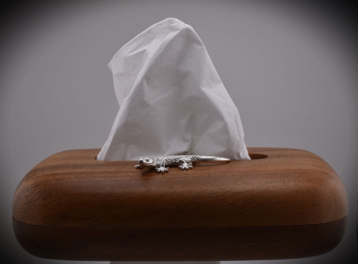 Gecko auf Walnuss-Kosmetiktuchspender UNIKAT - Image 4