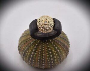 Seeigel in Carbon Ring-www.maiersgoldschmiede.com