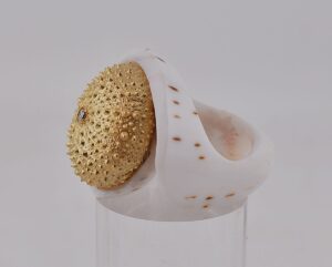 Seeigel auf Muschelring - www.maiersgoldschmiede.com