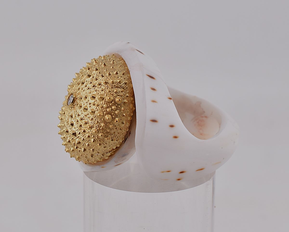Seeigel auf Muschelring - www.maiersgoldschmiede.com