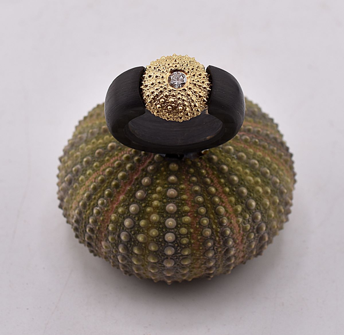 Seeigel in Carbon Ring-www.maiersgoldschmiede.com